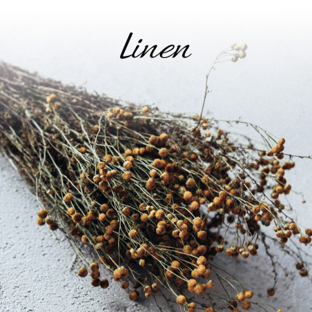 Materac Materasso  Biogreen Line