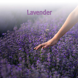 Materac Materasso Lussa