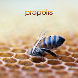 Materac Materasso Propolis...